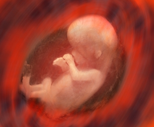 Το έμβρυο ακούει, γεύεται, νιώθει! Πώς αναπτύσσονται οι αισθήσεις μέσα στη μήτρα