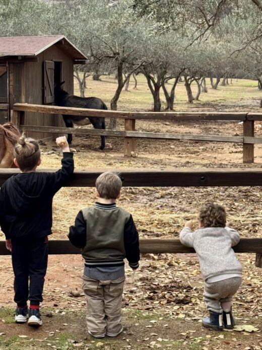 Μικρές συνήθειες που μεγαλώνουν παιδιά που σέβονται το περιβάλλον
